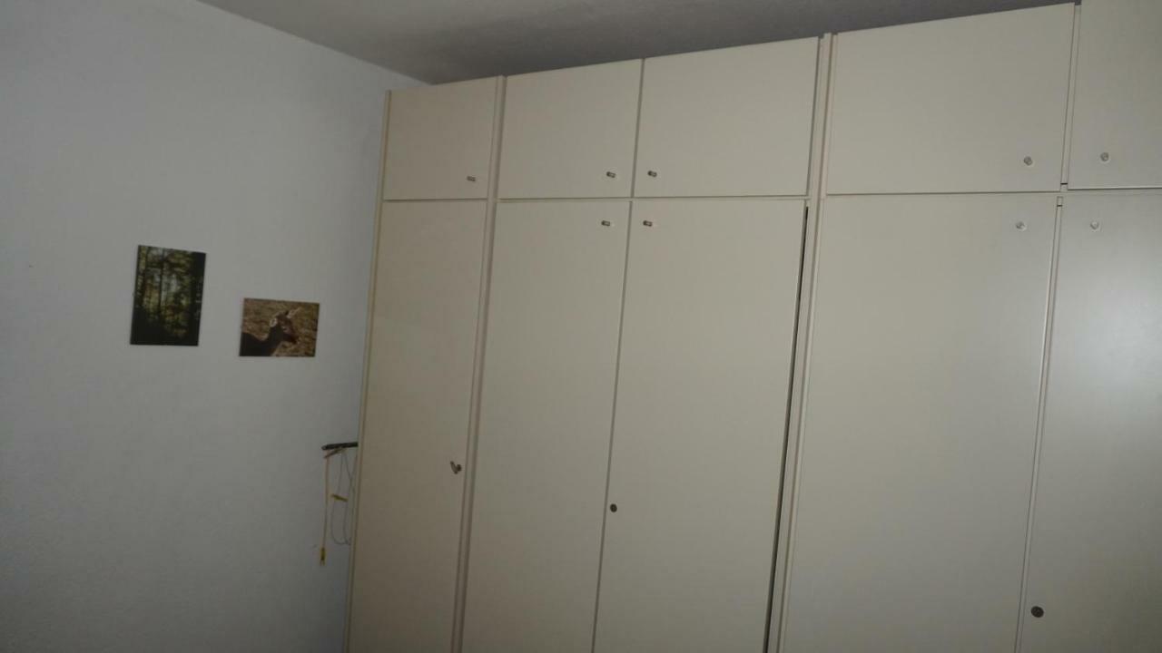 Ferienwohnung Witte Sankt Andreasberg Ngoại thất bức ảnh