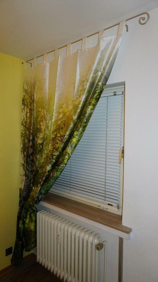 Ferienwohnung Witte Sankt Andreasberg Ngoại thất bức ảnh